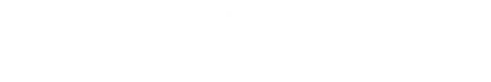 PII Protect logo